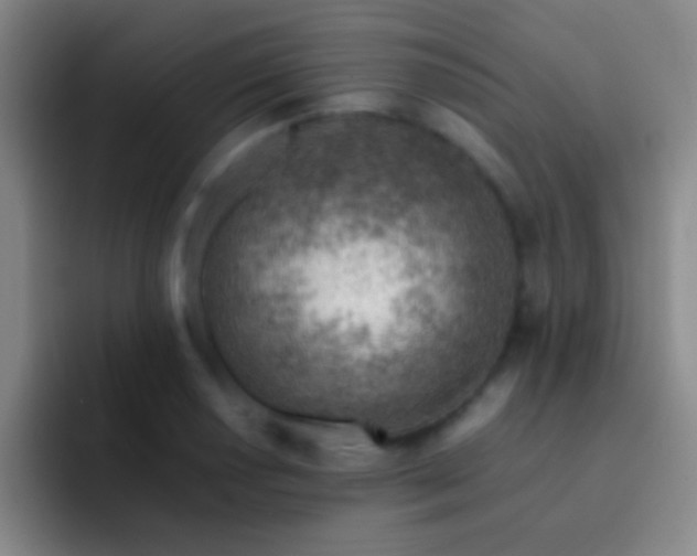 X0000092301034200709211227