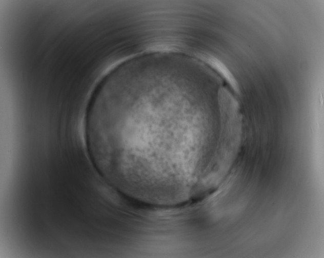 X0000092301035200709211227