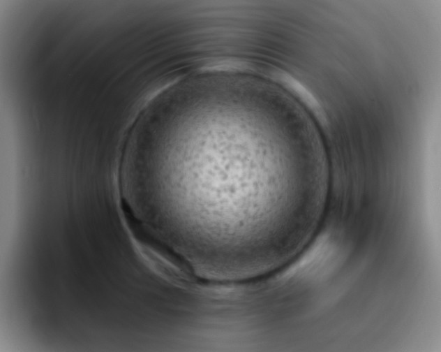 X0000092301041200709211227