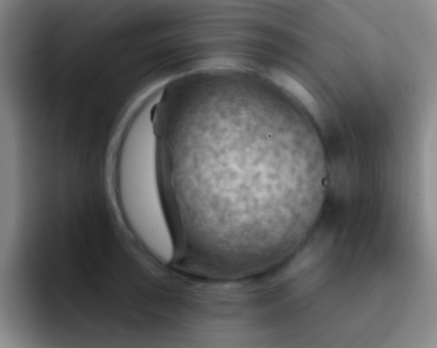 X0000092301043200709211227
