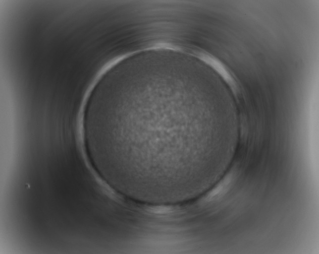 X0000092301048200709211228