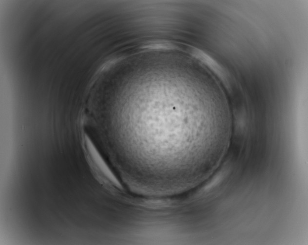 X0000092301049200709211228