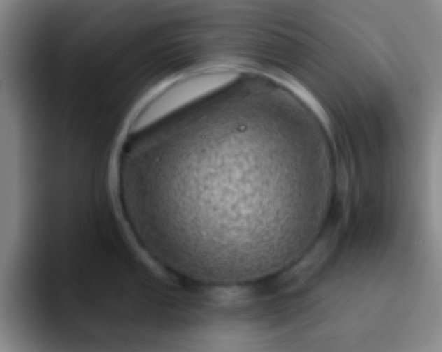 X0000092301053200709211228