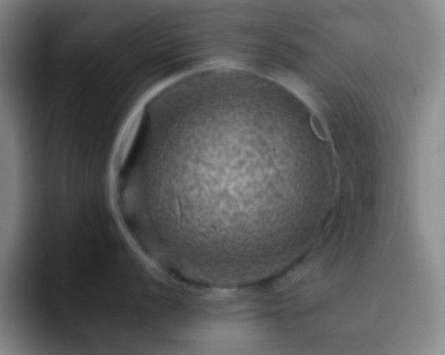 X0000092301056200709211228