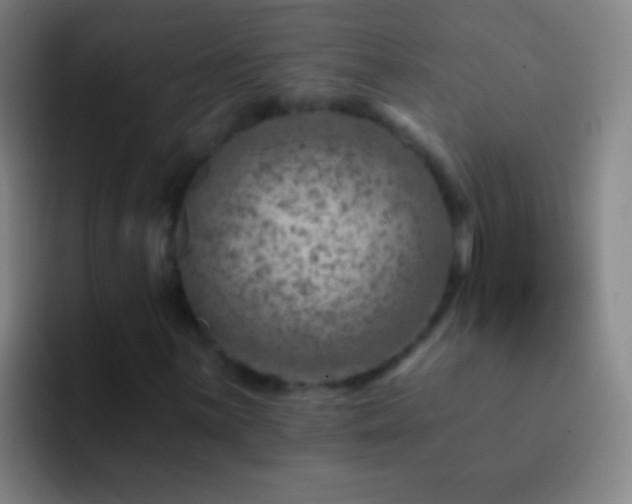 X0000092301059200709211227