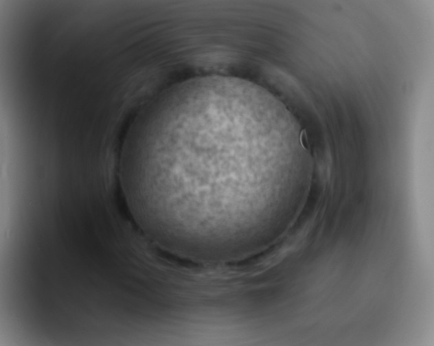 X0000092301060200709211227