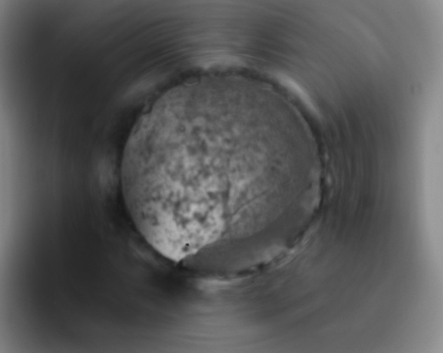 X0000092301063200709211227