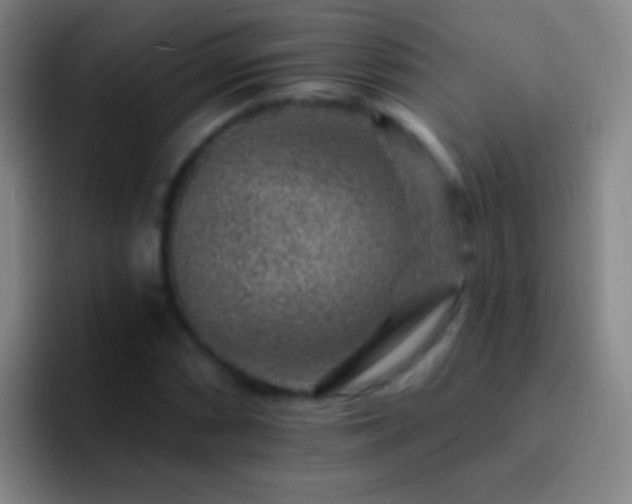 X0000092301066200709211227