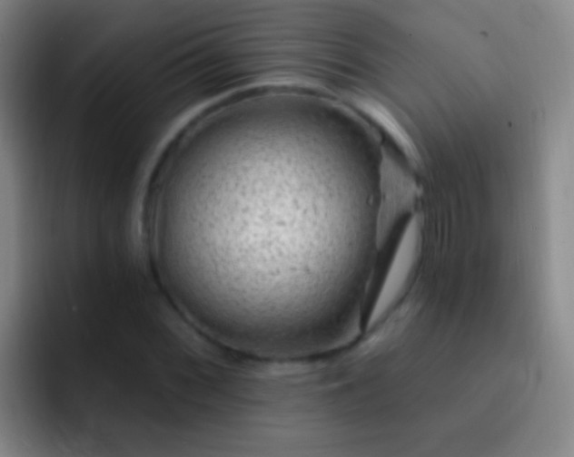 X0000092301068200709211227