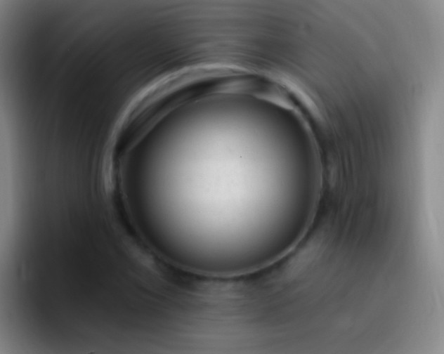 X0000092301069200709211227