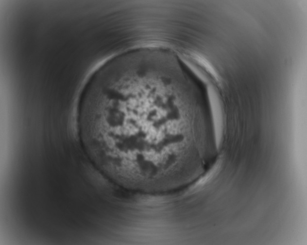 X0000092301071200709211227