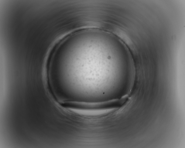 X0000092301072200709211227