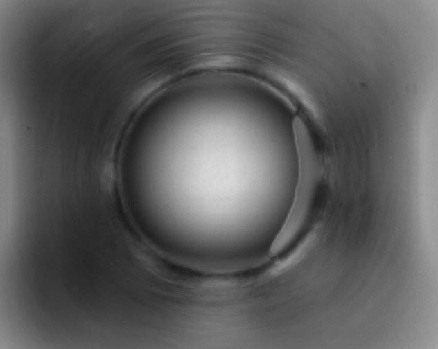 X0000092301073200709211227