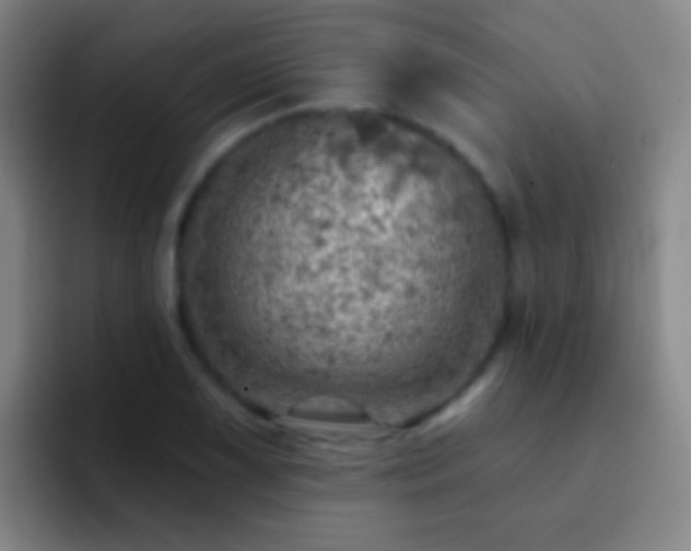 X0000092301075200709211227