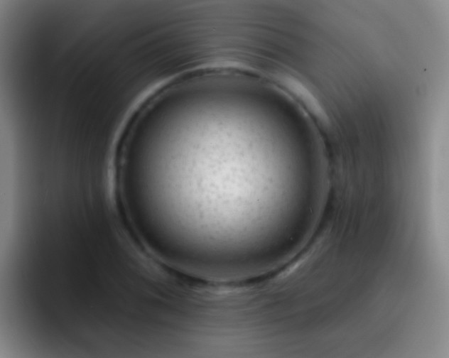 X0000092301076200709211227