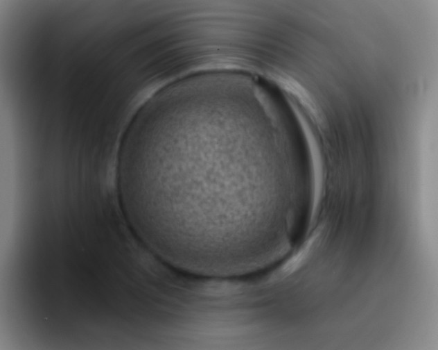 X0000092301081200709211227