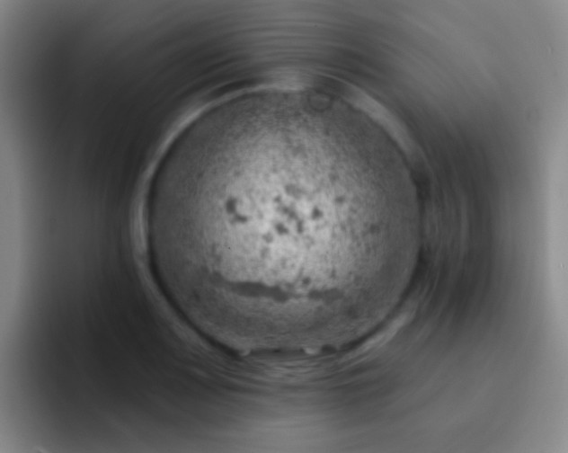 X0000092301083200709211227