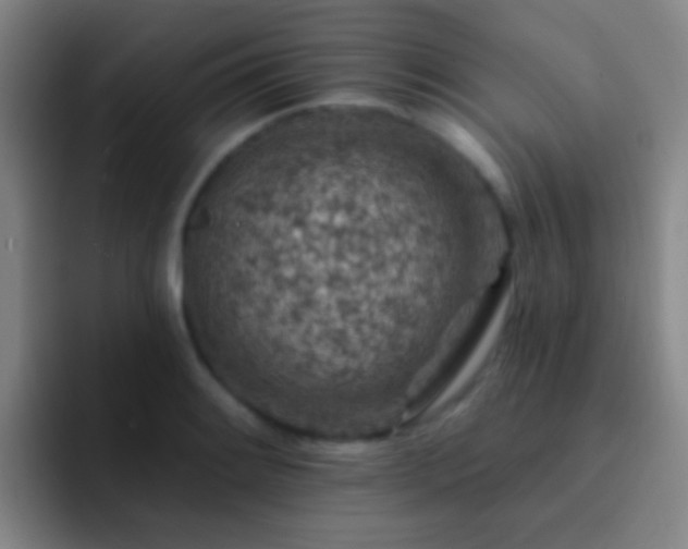 X0000092301084200709211227