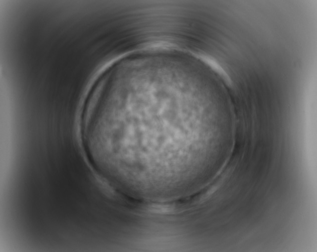 X0000092301086200709211227