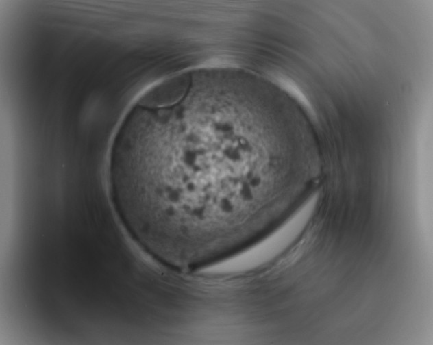 X0000092301087200709211227