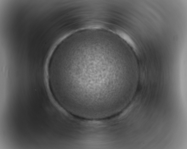 X0000092301088200709211227
