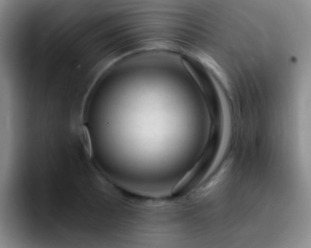 X0000092301089200709211227