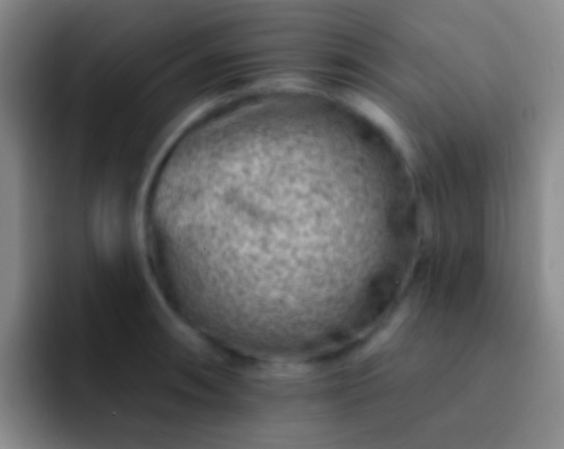 X0000092301090200709211227