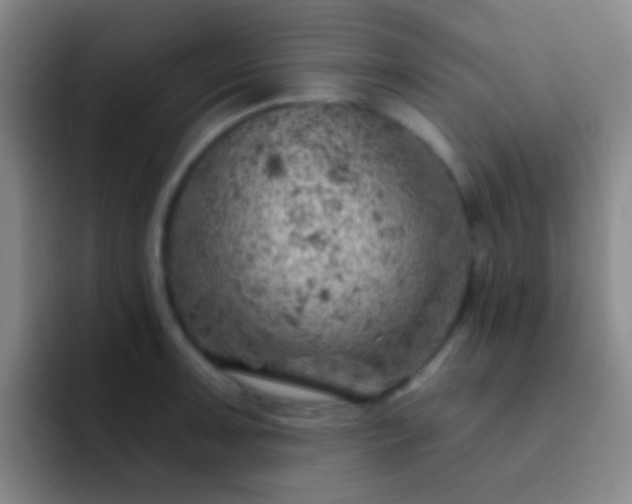 X0000092301091200709211227