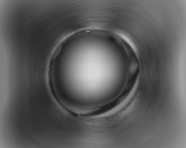 X0000092301093200709211227