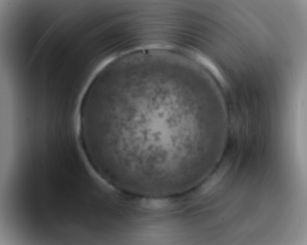 X0000092301095200709211227