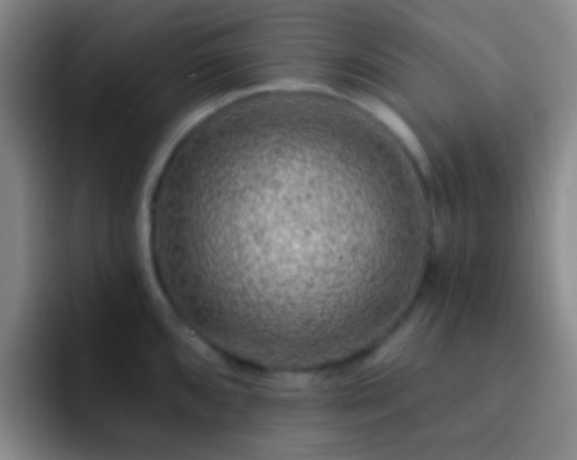 X0000092301096200709211227
