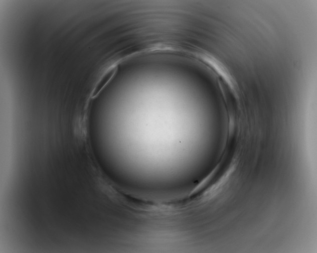 X0000092301097200709211227