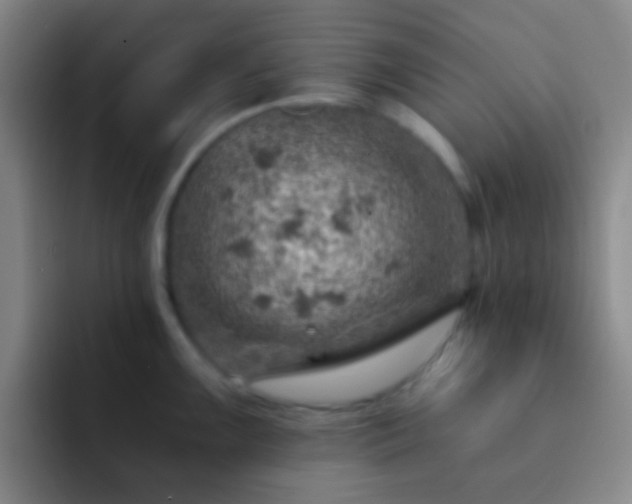 X0000092301099200709211227