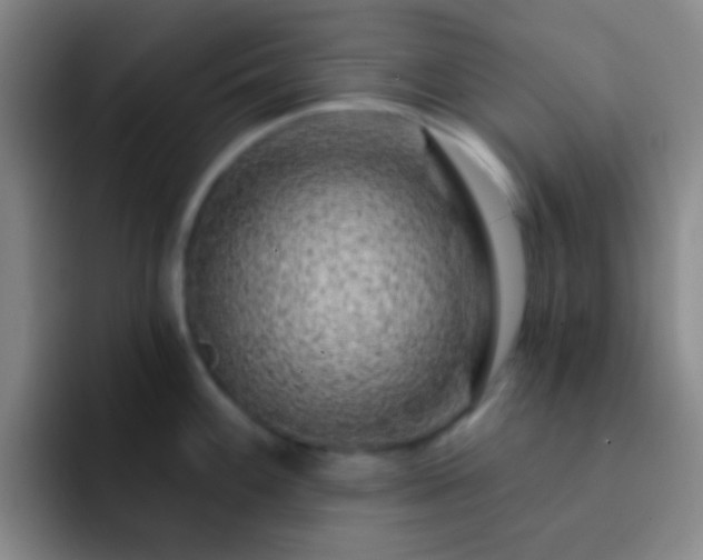 X0000092301100200709211227