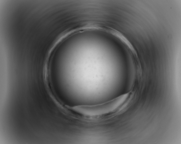 X0000092301101200709211227