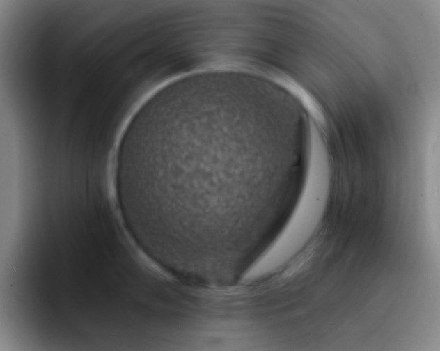 X0000092301102200709211227
