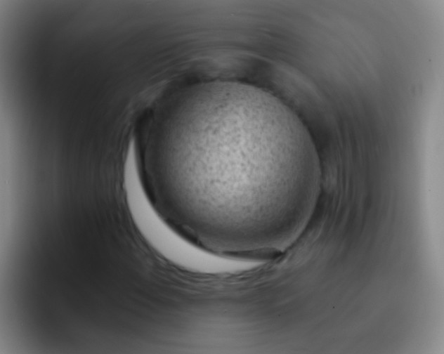 X0000092301108200709211226