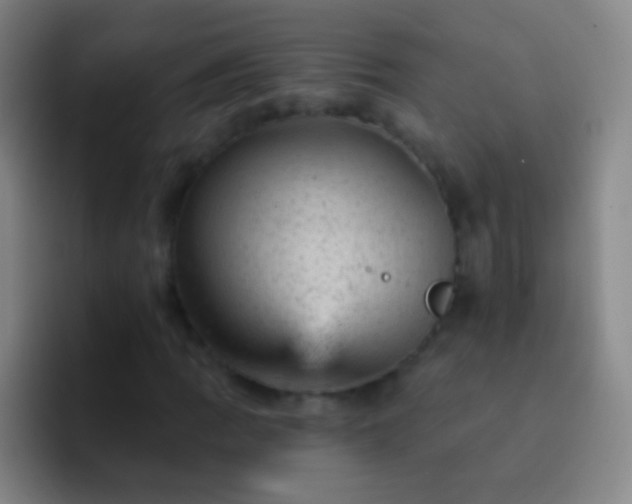 X0000092301109200709211226