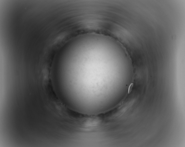 X0000092301110200709211226