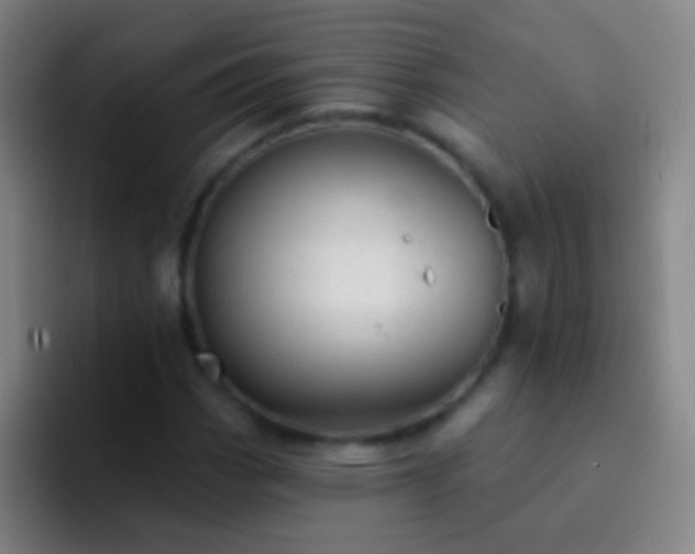 X0000092301113200709211226