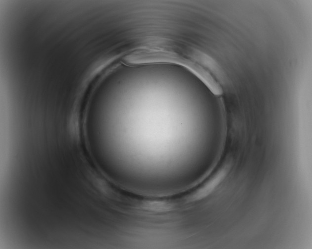 X0000092301114200709211226