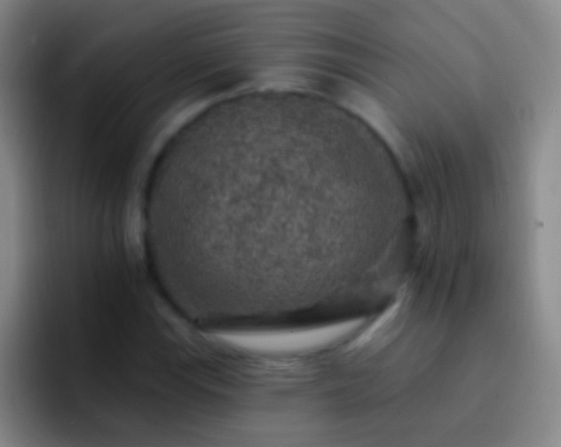 X0000092301115200709211226