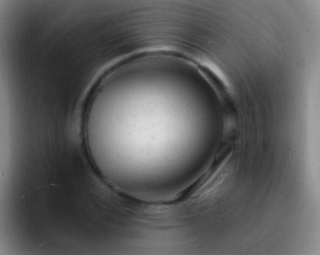 X0000092301116200709211226