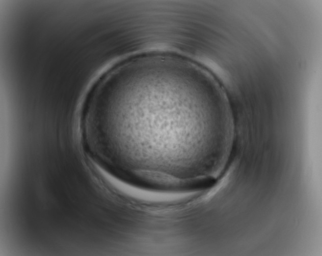 X0000092301118200709211226