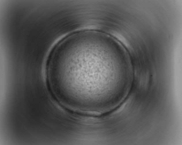 X0000092301119200709211226