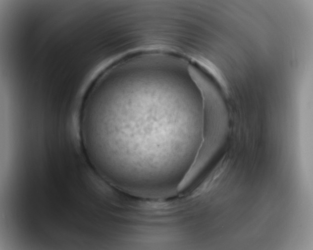 X0000092301120200709211226