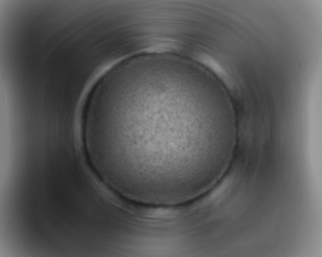 X0000092301122200709211226