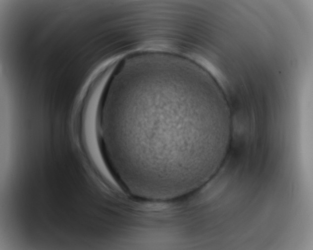 X0000092301123200709211226