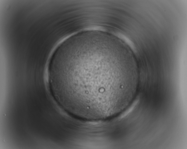 X0000092301125200709211226
