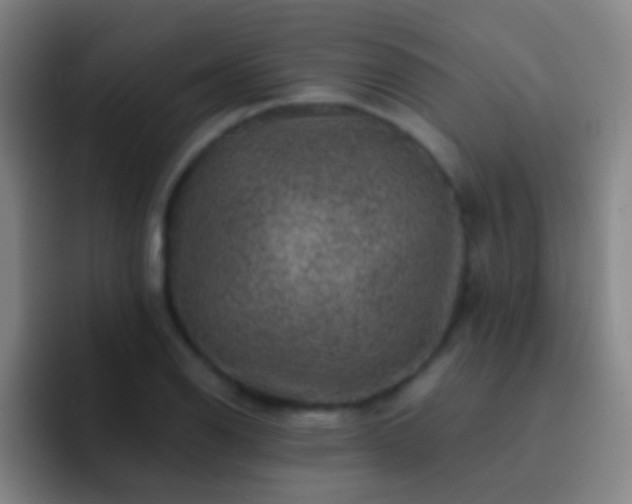 X0000092301126200709211226